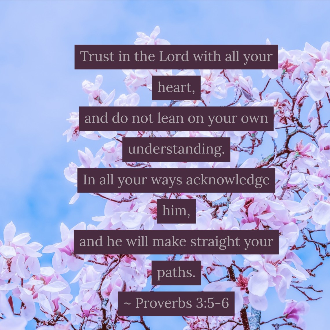 Prov 3 56 (1)