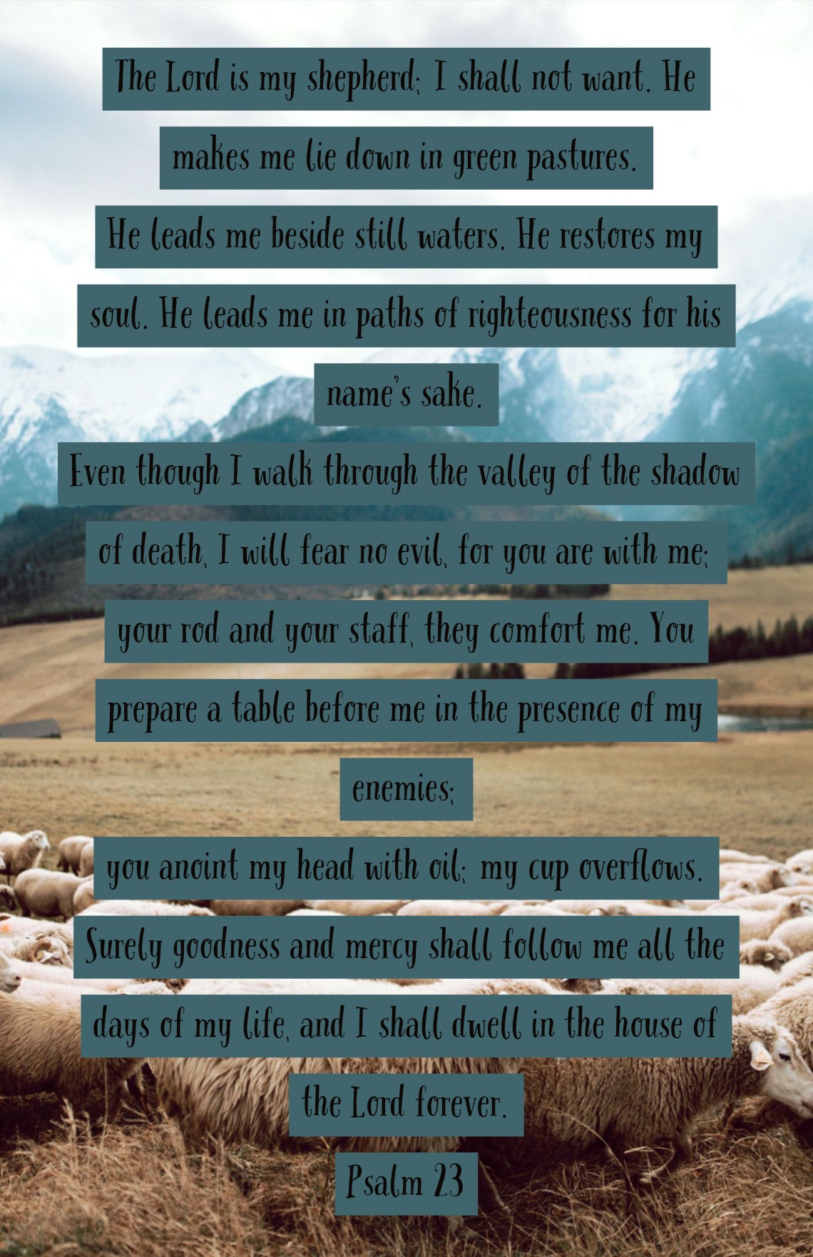 Ps 23.jpg