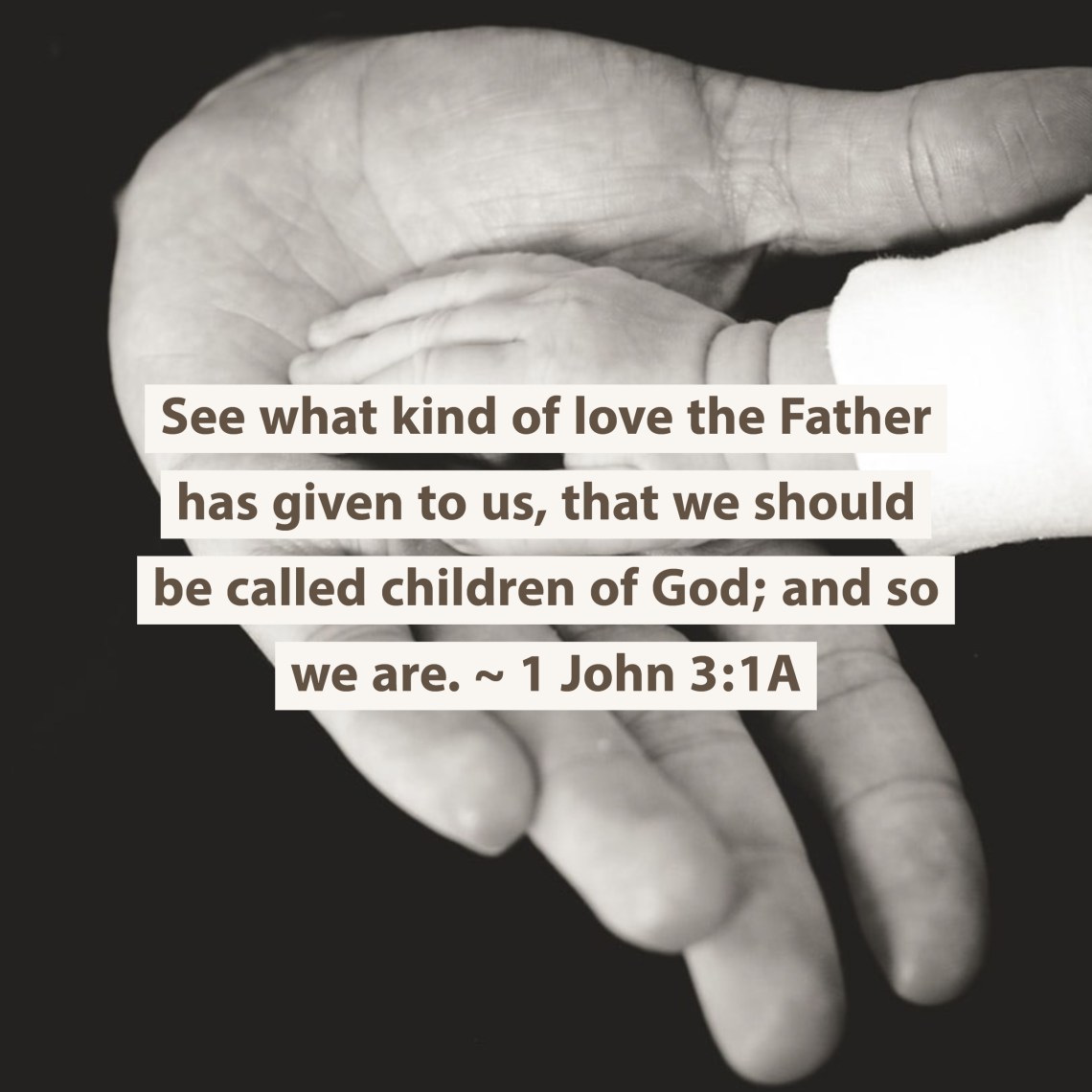 1 john 3 1