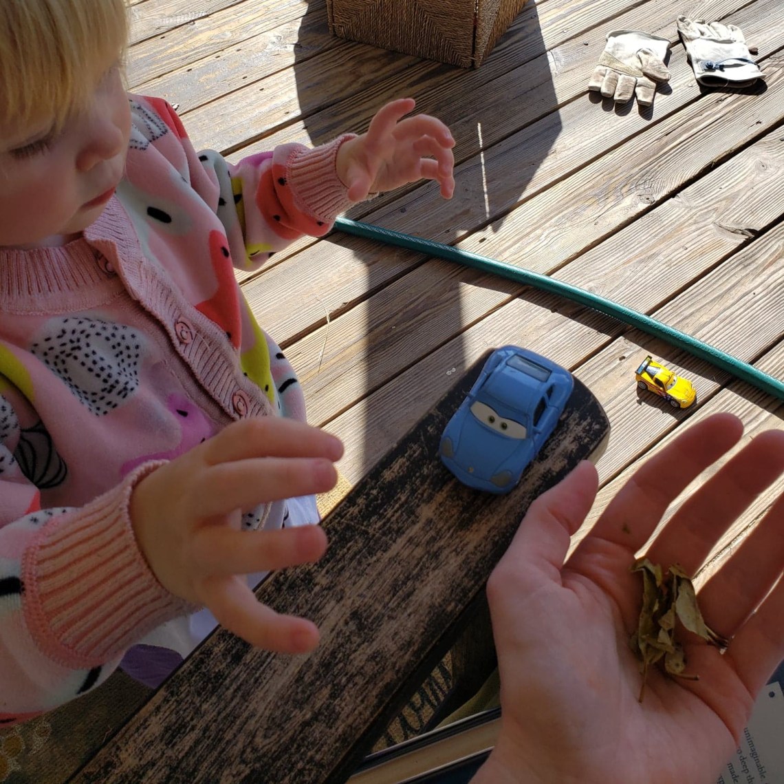 73528671_1033045137050432_6400385866799251456_n